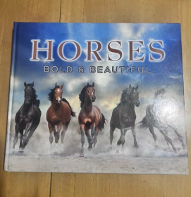 Horses: Bold and Beautiful  马：大胆美丽  向北美和南美、亚洲、欧洲、非洲和澳大利亚的野生、工作和美丽的普通马致敬。 用240多张全彩照片庆祝世界各地马的美丽和辉煌。 英文版  精装