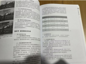 数字摄影技艺教程 新一版 罗勇著 高等院校摄影摄像基础教材