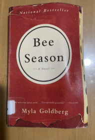 Bee Season A NOVEL Myia Goidberg  蜜蜂季节 小说 米娅·戈德伯格 平装