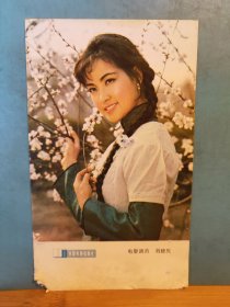 FP30 - 0009 演员 刘晓庆 彩色照片 中国电影出版社 15*9cm