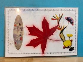 FP2-0033   红叶美术贺卡（相伴一生） 塑封