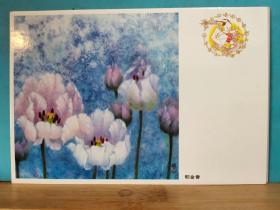 FP37-0168  八十年代   美术（郁金香） 中国邮政明信片