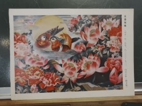 FP67 -32 1986年 年历 年画样品 《芙蓉鸳鸯》 向步云 作 湘美 出版