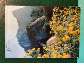FP52-0117   1988年     美术 《春满西岳》  邮资明信片  实寄片  中国 西安