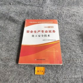 安全生产专业实务：化工安全技术（2019全新版）/中级注册安全工程师执业资格考试辅导教材