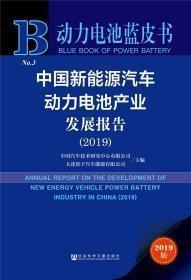 动力电池蓝皮书：中国新能源汽车动力电池产业发展报告（2019）q-27