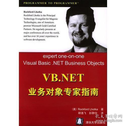 VB.NET业务对象专家指南