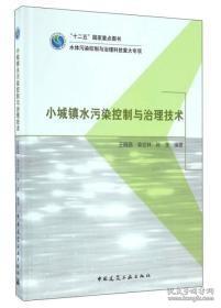 小城镇水污染控制与治理技术