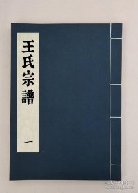 【提供资料信息服务】王氏宗谱，全41册，（清）王樾等纂修，培槐堂，安徽桐城