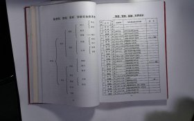 徐氏家谱，2011年，1册，筒子页：328，谱籍：武胜岳池部分，