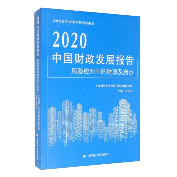 2020中国财政发展报告:风险应对中的财政及启示:Response of public finance to public risk