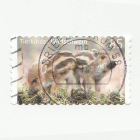 2017年德国邮票 小野猪 4.4*2.6cm