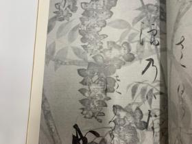 二玄社 日本名迹丛刊   23 本阿弥光悦 四季草花下绘和歌卷  1978年 初版初印