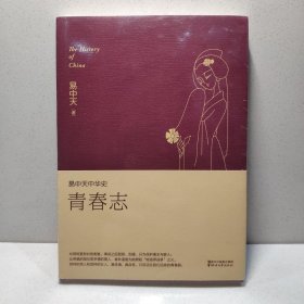 易中天中华史 第四卷：青春志