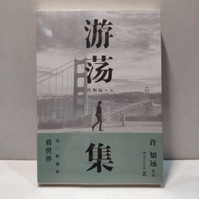 游荡集（十三邀中，许知远写下的游荡文字） 9787540492236