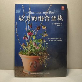 最美的组合盆栽
