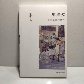 黑弄堂：王安忆短篇小说系列 9787532158904
