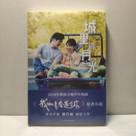 城里的月光(又名：我的青春遇见你) 9787532133673
