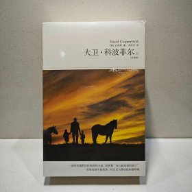 文学文库 大卫·科波菲尔（套装上下册 全译本） 9787540213329