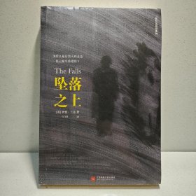 坠落之上 9787539980584