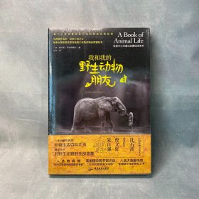 我和我的野生动物朋友2