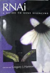 RNAi A Guide to Gene Silencing