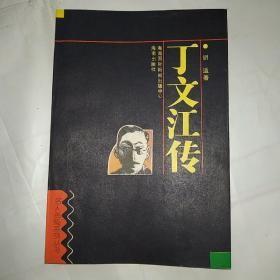 丁文江传