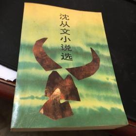 沈从文小说选