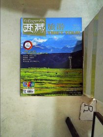 西藏旅游2016 11