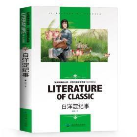 白洋淀纪事 中小学生新课标课外阅读·世界经典文学名著必读故事书 名师精读版