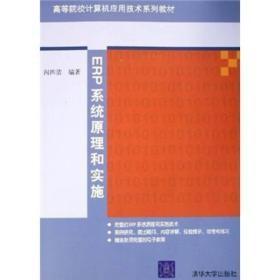高等院校计算机应用技术系列教材：ERP系统原理和实施