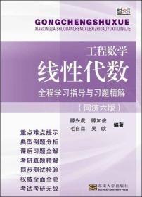 工程数学·线性代数：全程学习指导与习题精解（同济六版）