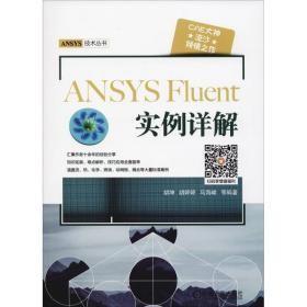 ANSYS FLUENT实例详解