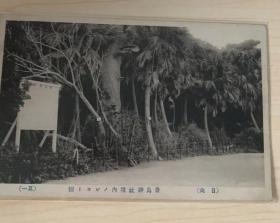 （日向）青岛神社境内（其一） 日本早期明信片 风景老明信片