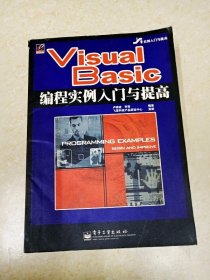 DDI226728 VisualBasic编程实例入门与提高