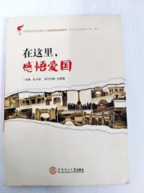 在这里．感悟爱国：“在这里追寻梦想”第一部曲（大学生社会主义核心价值观教育实践读本）