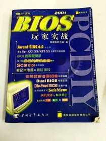 BIOS玩家实战