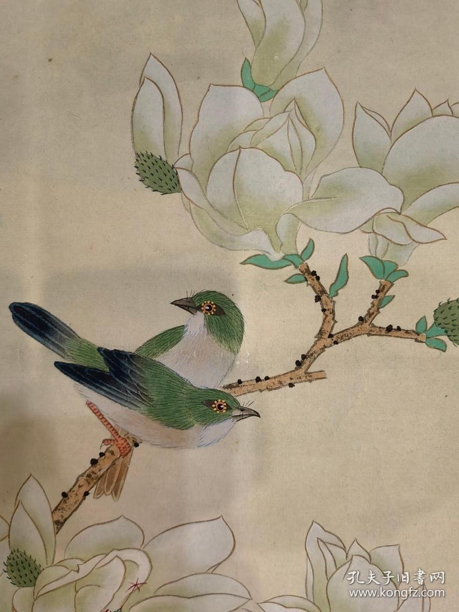 中央美术学院教授、中美协会员、中国工笔画学会常务理事——金鸿钧 白玉兰工笔花鸟