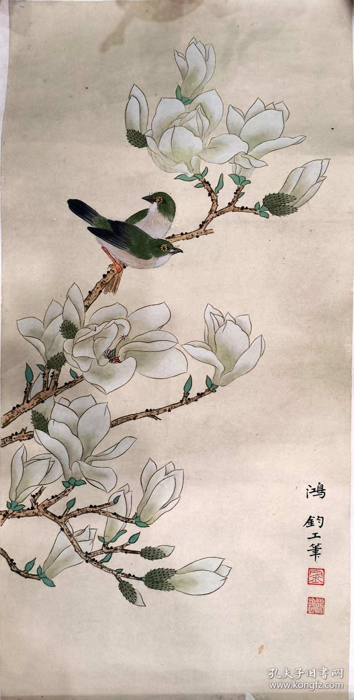 中央美术学院教授、中美协会员、中国工笔画学会常务理事——金鸿钧 白玉兰工笔花鸟