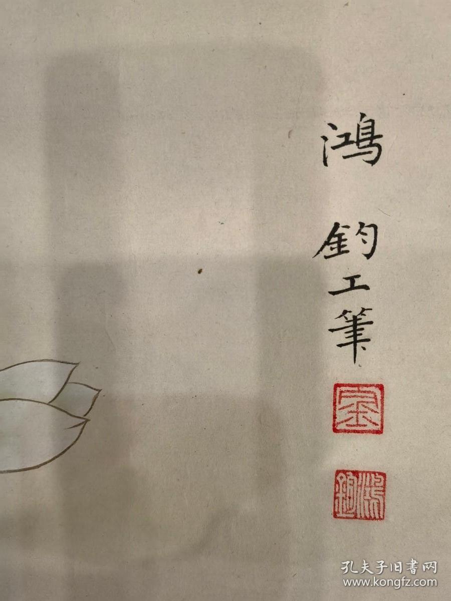 中央美术学院教授、中美协会员、中国工笔画学会常务理事——金鸿钧 白玉兰工笔花鸟