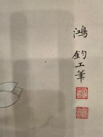 中央美术学院教授、中美协会员、中国工笔画学会常务理事——金鸿钧 白玉兰工笔花鸟