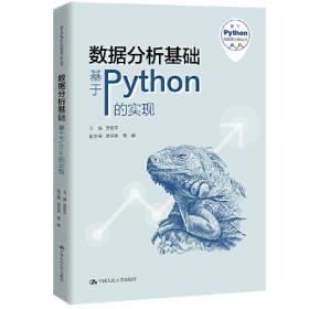 数据分析基础：基于Python的实现