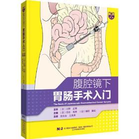 腹腔镜下胃肠手术入门（精装）