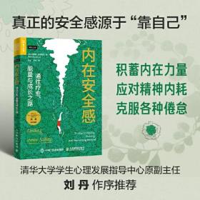 内在安全感：通往疗愈、能量与成长之路