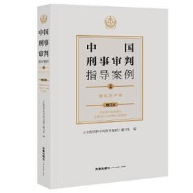 中国刑事审判指导案例4：侵犯财产罪（增订本）