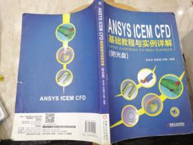 ANSYS ICEM CFD 基础教程与实例详解 无盘（丙14）