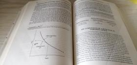 【英文版】固定收益数学：分析与统计技术 Fixed Income Mathematics：Analytical & Statistical Techniques