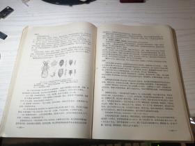 昆虫形态分类学 忻介六 等编著