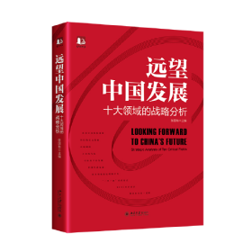 远望中国发展——十大领域的战略分析 中国式现代化行动指南 张国有