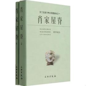 天门石家河考古发掘报告之一·肖家屋脊（上下册）(精)